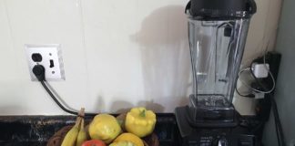 5-Benefits-of-Owning-a-Personal-Smoothie-Blender-at-Home-on-ArchitecturesLab
